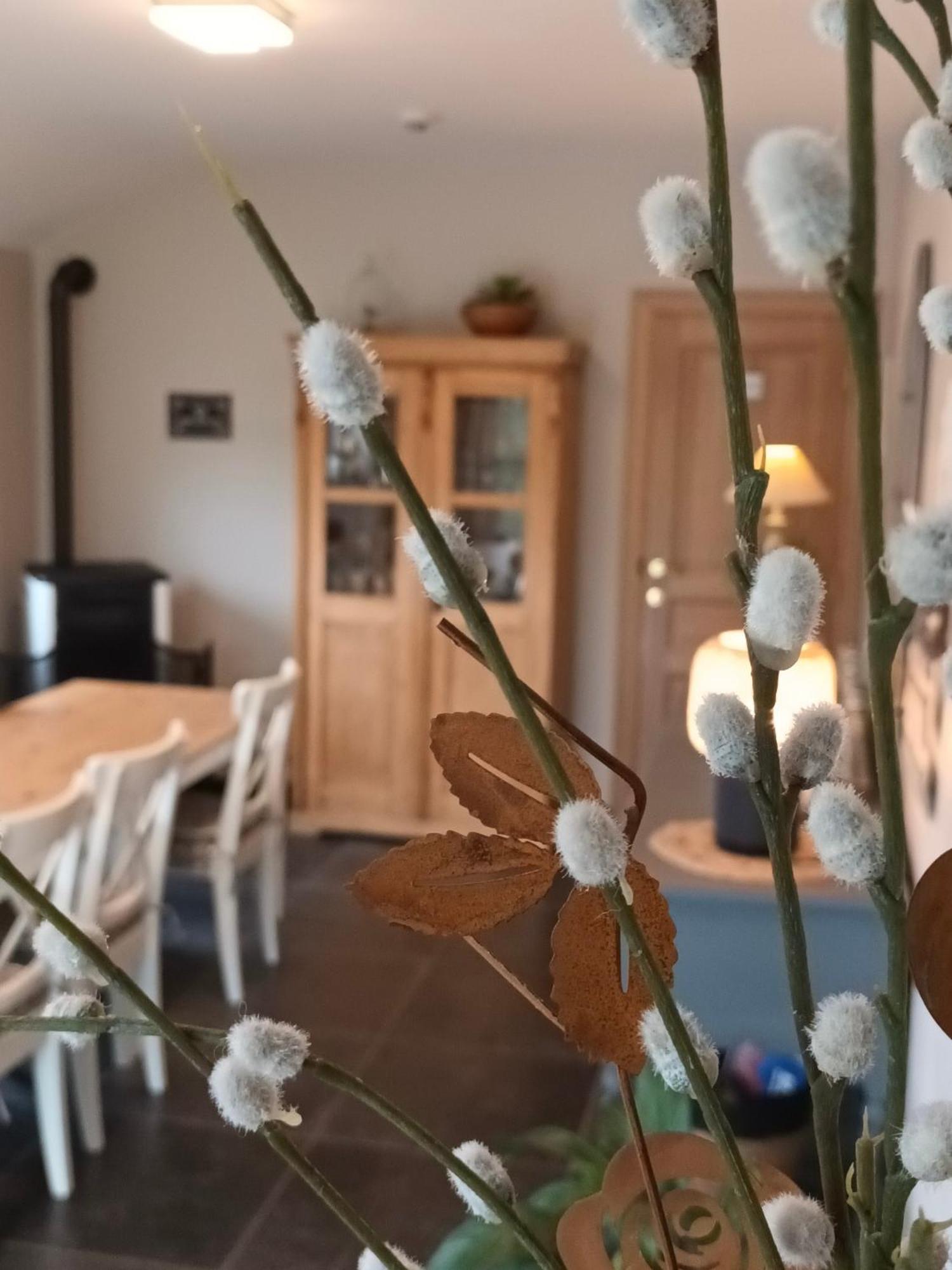 Le Relais De La Motte Bed & Breakfast Soignies Bagian luar foto